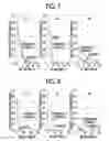 Fig. 06 - Method of producing sulfide solid electrolyte material