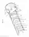 Fig. 07 - Armored Cable Cutter
