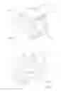 Fig. 06 - CABLE FIXTURE