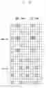 Fig. 42 - Method and apparatus for generating reference signal in wireless communication system