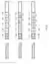 Fig. 22 - Transmission apparatus and method, and reception apparatus and method