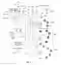 Fig. 06 - Receive buffer architecture method and apparatus