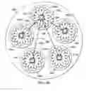 Fig. 07 - COLLECTIVE COMMUNICATION OPERATION