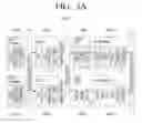 Fig. 04 - Transmitting apparatus and signal processing method thereof