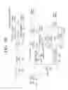 Fig. 43 - Transmitting apparatus and signal processing method thereof