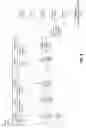 Fig. 05 - Adaptive noise reduction engine for streaming video