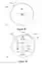 Fig. 17 - DISTRIBUTED WIRELESS AUDIO AND/OR VIDEO TRANSMISSION