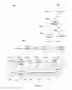 Fig. 09 - Method and program product for automatic human identification and censorship of submitted media