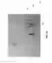 Fig. 07 - SYSTEMS AND METHODS TO DETERMINE SAFE ZONES AND SAFE ROUTES OF A DEVICE