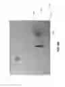 Fig. 08 - SYSTEMS AND METHODS TO DETERMINE SAFE ZONES AND SAFE ROUTES OF A DEVICE