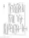 Fig. 10 - Non-transitory computer-readable medium for communication device, and method performed by communication device