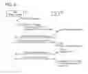 Fig. 03 - Communication device, non-transitory computer-readable recording medium storing computer-readable instructions for communication device, and method executed by communication device