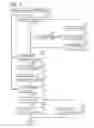 Fig. 04 - Communication device, non-transitory computer-readable recording medium storing computer-readable instructions for communication device, and method executed by communication device