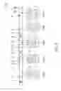 Fig. 07 - Sensor device and illumination system