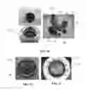 Fig. 07 - Swirl ring for a plasma arc torch