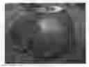 Fig. 01 - Apple tree named 'Gradisca'