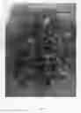 Fig. 03 - Acmena plant named 'VICLOW'