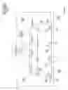 Fig. 07 - Photon modulation management system for stimulation of a desired response in birds