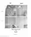 Fig. 08 - Genetically modified non-human animals and methods relating to complement dependent cytotoxicity