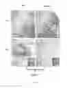 Fig. 09 - Genetically modified non-human animals and methods relating to complement dependent cytotoxicity