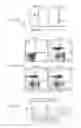 Fig. 08 - TRANSGENIC PIGS WITH GENETIC MODIFICATIONS OF SLA