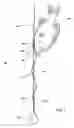 Fig. 04 - Deepwater fish release device