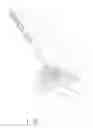 Fig. 02 - APPARATUS FOR INCAPACITATING PESTS