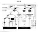 Fig. 04 - CELL STABILIZATION