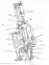 Fig. 01 - Device and method for separating a wishbone from a poultry carcass