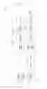 Fig. 05 - Masticable ingestible product and communication system therefor