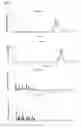 Fig. 02 - Nutritional supplement composition suitable for improving lean tissue mass status in an adult human