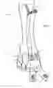 Fig. 02 - Open front pedicure sock