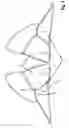 Fig. 02 - Flexible support structure for wire-free bras, bralettes and lingerie
