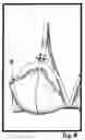 Fig. 09 - Flexible support structure for wire-free bras, bralettes and lingerie