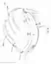 Fig. 02 - Helmet with flexible structure for improved force attenuation