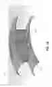 Fig. 12 - Laterally supported filaments