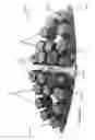Fig. 33 - Laterally supported filaments