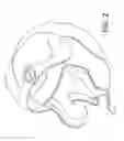 Fig. 03 - Air control pads and system for an helmet and helmet equipped with same.