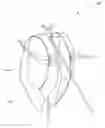 Fig. 01 - SHOOTER'S BACKPACK ASSEMBLY