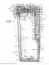 Fig. 07 - Travel container having drinking orifice and vent aperture