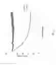 Fig. 07 - Oxygen sensors