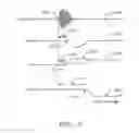 Fig. 06 - Systems and methods for measuring reactions of head, eyes, eyelids and pupils