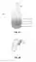 Fig. 05 - Chromatography-aided substance sensing in absorbent hygiene and medical products