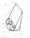 Fig. 08 - Jugular venous assessment