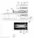 Fig. 10 - SYSTEM AND METHOD FOR MEDICAL IMAGING