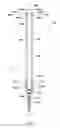 Fig. 02 - Rod reducer assembly