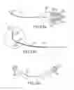 Fig. 63 - INTUITIVE USER INTERFACE CONTROL FOR REMOTE CATHETER NAVIGATION AND 3D MAPPING AND VISUALIZATON SYSTEMS