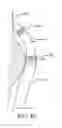 Fig. 85 - INTUITIVE USER INTERFACE CONTROL FOR REMOTE CATHETER NAVIGATION AND 3D MAPPING AND VISUALIZATON SYSTEMS