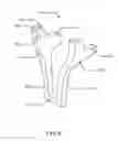 Fig. 09 - BIOPSY SYSTEM AND BIOPSY DEVICE HOLDER FOR THE SAME