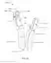 Fig. 23 - BIOPSY SYSTEM AND BIOPSY DEVICE HOLDER FOR THE SAME